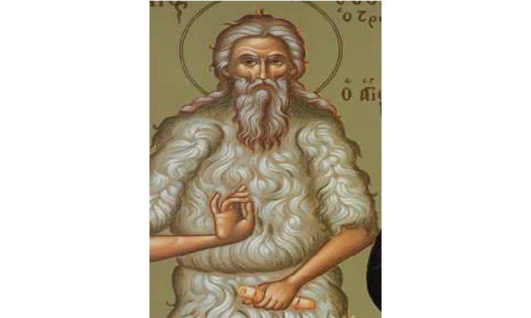 Saint Theodore of Trichina